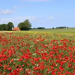 Tatil Evi De Boer Comfortable