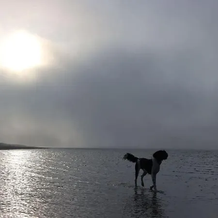 Дом отдыха De Boer Comfortable Йевер