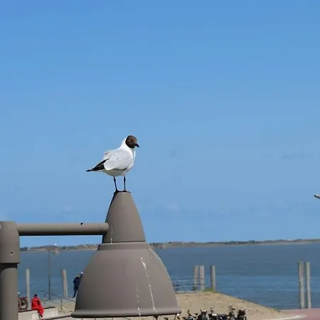 Holiday home De Boer Comfortable *