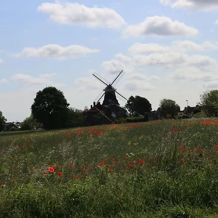 De Boer Comfortable Holiday home Jever