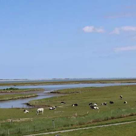 De Boer Comfortable * Йевер