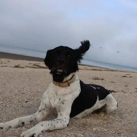 Holiday home De Boer Comfortable