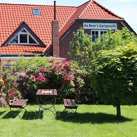 De Boer Comfortable *