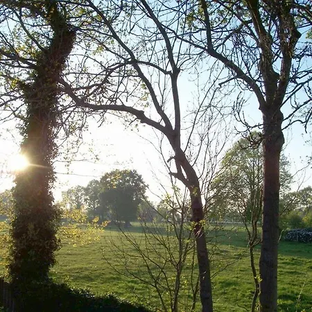 Дом отдыха De Boer Comfortable *