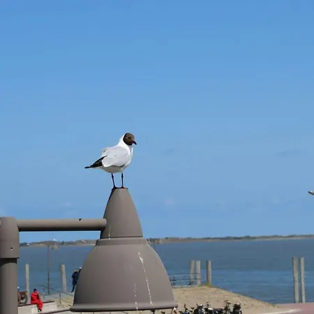 De Boer Comfortable Дом отдыха Йевер