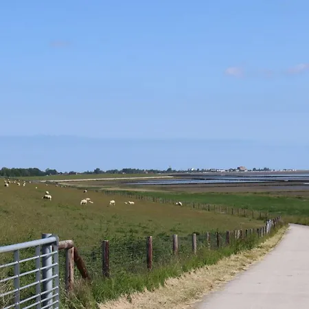 De Boer Comfortable Йевер