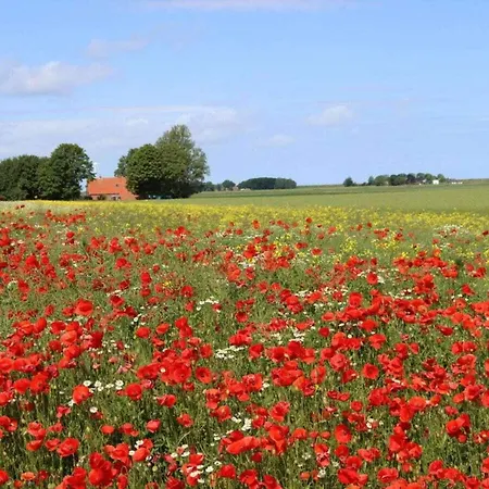 Дом отдыха De Boer Comfortable