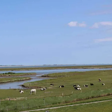 Дом отдыха De Boer Comfortable *